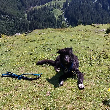 Fasserhof *